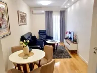 Izdavanje, jednosoban stan, 42m², Central Point, Podgorica - image 2