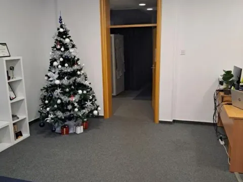 Izdavanje, poslovni prostor, 330m², Socijalno, Novi Sad Sve Podlokacije - image 8