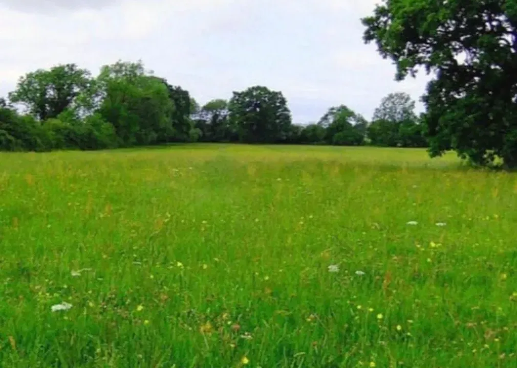 Prodaja, plac, 4400m², Reč, Ulcinj