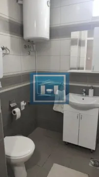 Izdavanje, garsonjera, 26m², Jagodnjak, Paraćin - image 7