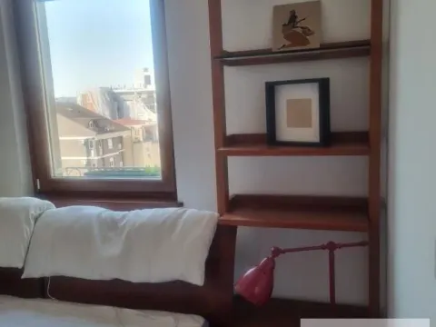 Izdavanje, dvosoban stan, 45m², Vračar Sve Podlokacije, Beograd - image 9