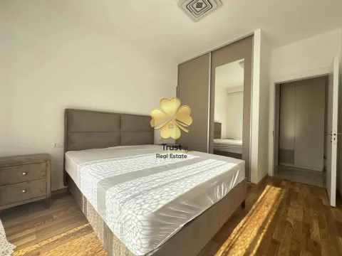 Izdavanje, jednosoban stan, 50m², Zagorič, Podgorica - image 10