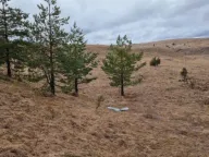 Prodaja, plac, 6697m², Borje, Žabljak - image 3