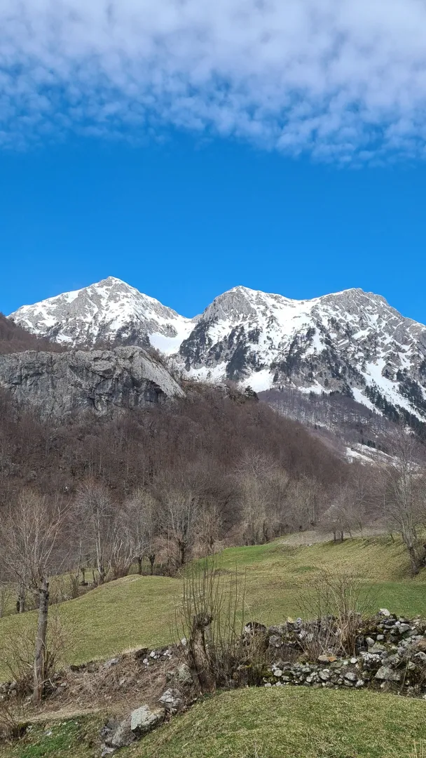 Pogled na planinske vrhove i prirodu sa nekretnine.
