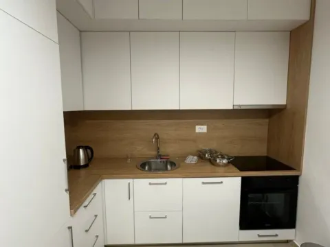 Izdavanje, jednosoban stan, 47m², Zabjelo, Podgorica - image 3