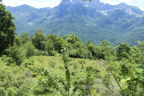 Prodaja, plac, 45000m², Gornje Lipovo, Kolašin - image 2