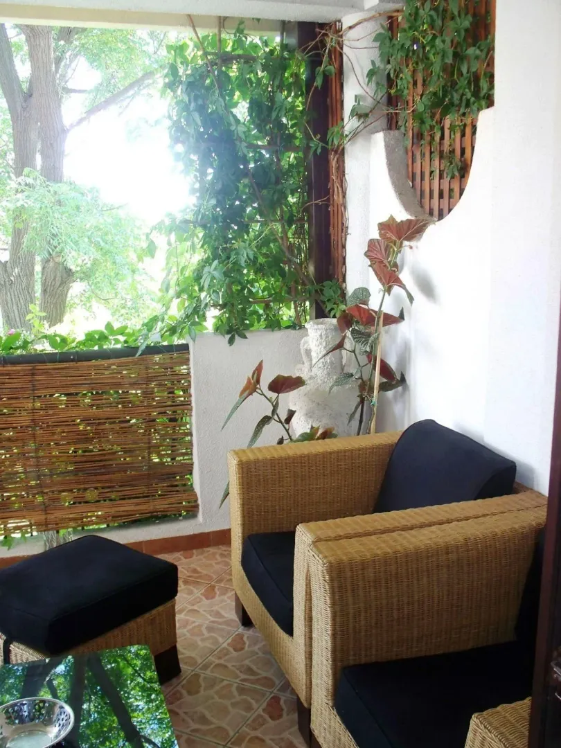 Decorated terrace with wicker furniture and plants.