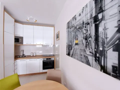 Izdavanje, jednosoban stan, 49m², Central Point, Podgorica - image 6