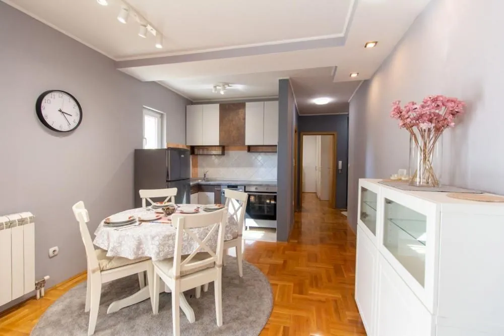 Rent, two bedroom apartment, 46m², Vračar Hram, Vračar Sve Podlokacije