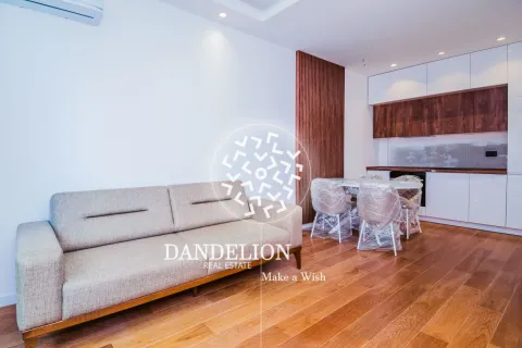 Rent, one bedroom apartment, 59m², Central Point, Podgorica - image 25
