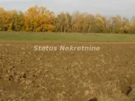 Prodaja, plac, 604m², Sremska Mitrovica, Srbija - image 7