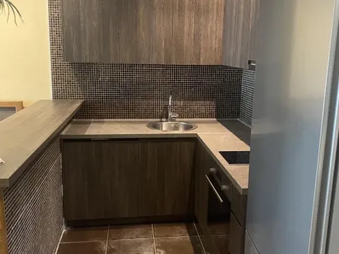 Izdavanje, jednosoban stan, 55m², Savski Venac, Beograd - image 8