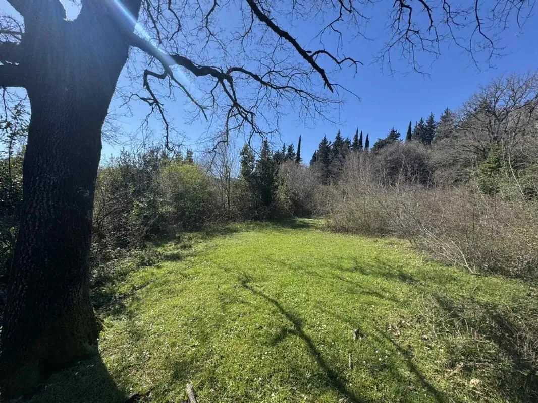 Prodaja, plac, 7800m², Zelenika, Podgorica