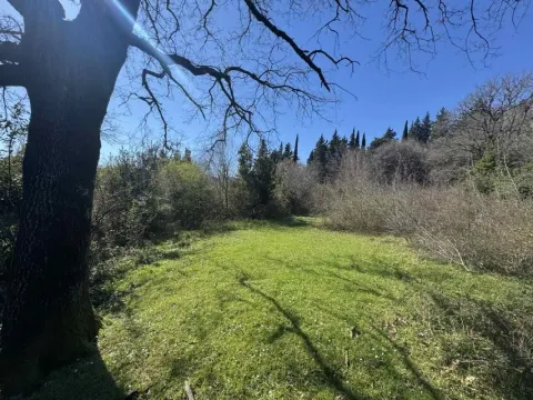 Prodaja, plac, 7800m², Zelenika, Podgorica - image 2