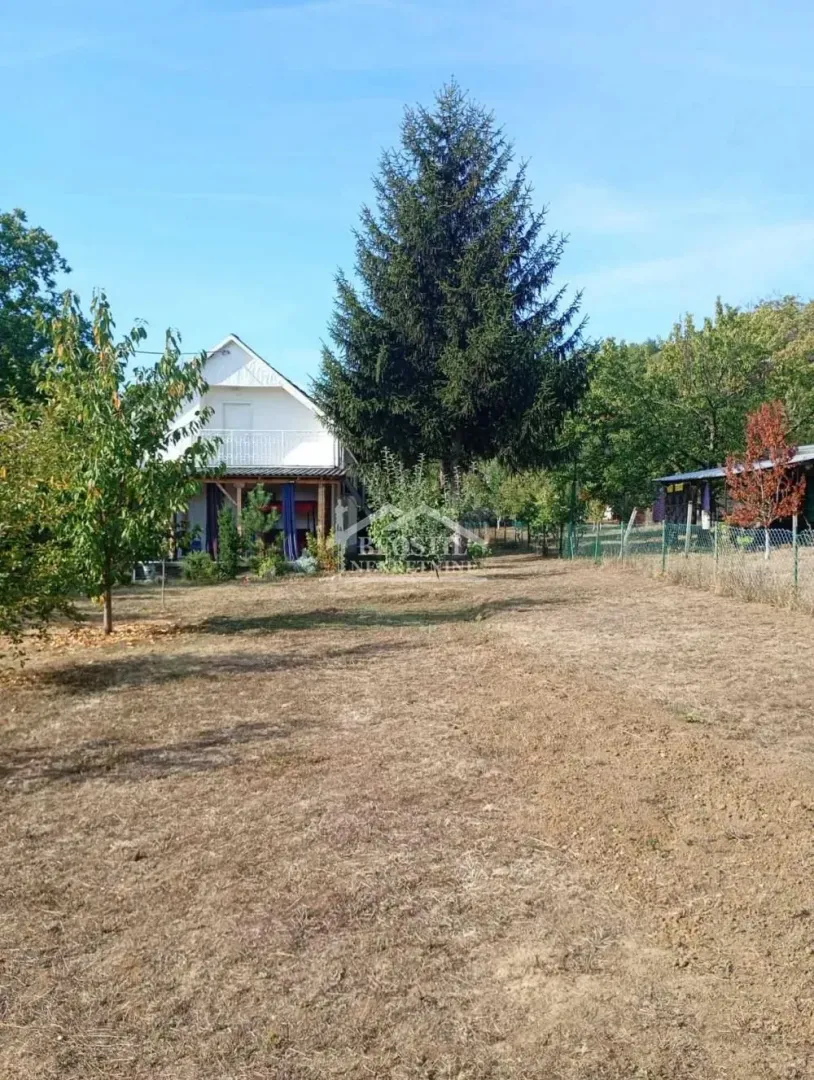 View of the yard and house with greenery.
