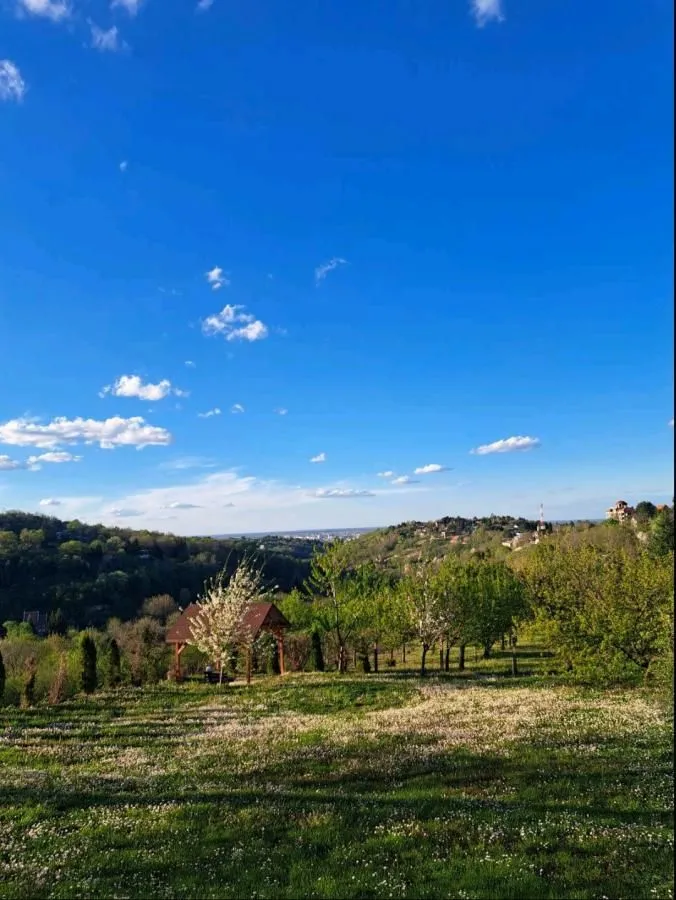 Prodaja, kuća, 180m², Sremska Kamenica, Petrovaradin