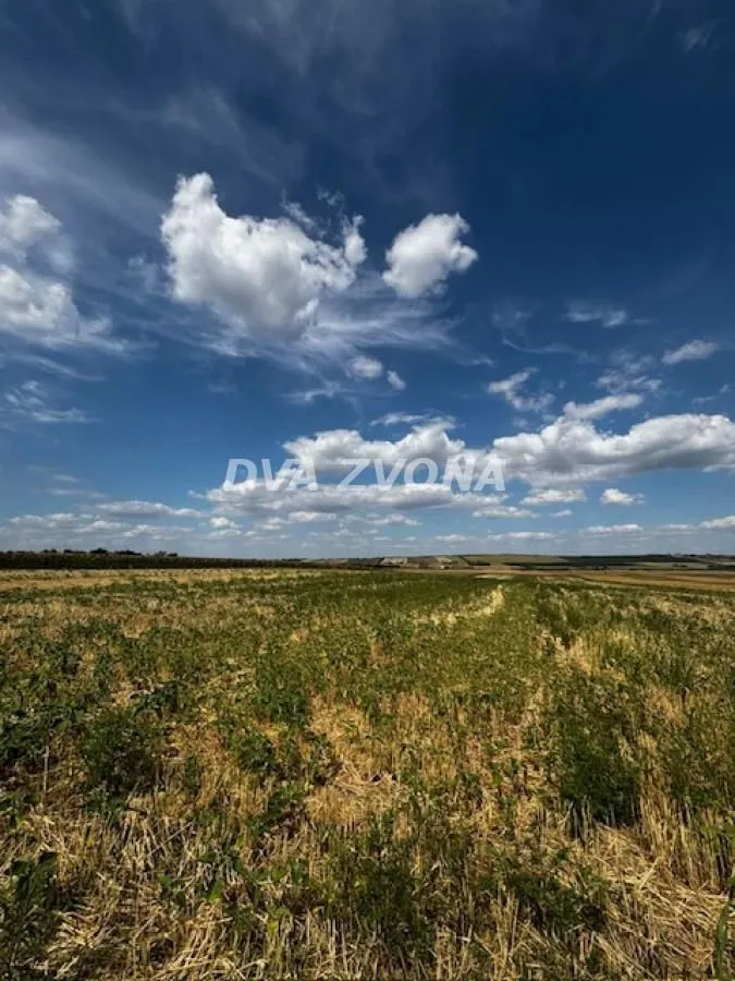 Prodaja, plac, 11510m², Čortanovci, Inđija