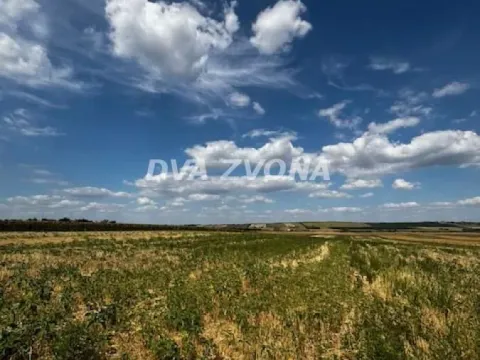 Sale, land lot, 11510m², Čortanovci, Inđija - image 3