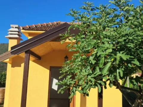 Sale, house, 300m², Zagorak, Danilovgrad - image 4