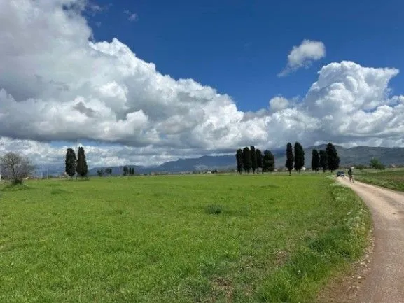 Sale, land lot, 100000m², Zeta, Podgorica