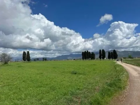 Sale, land lot, 100000m², Zeta, Podgorica