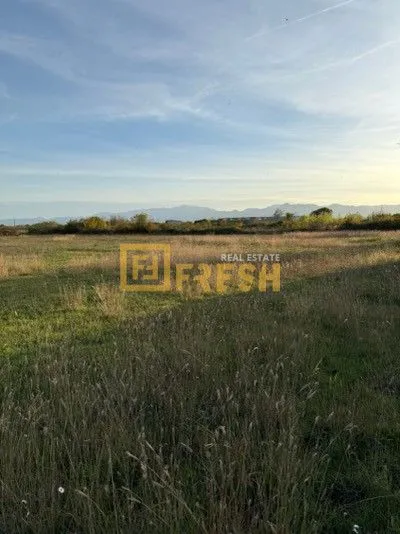 Prodaja, plac, 4929m², Ostalo, Podgorica