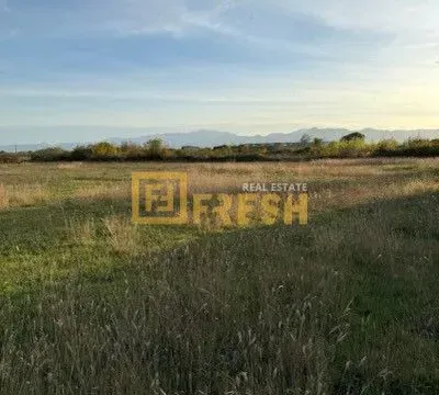 Prodaja, plac, 4929m², Ostalo, Podgorica - image 3