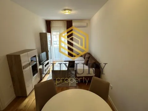 Izdavanje, jednosoban stan, 42m², Central Point, Podgorica - image 7