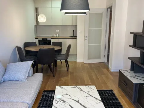 Izdavanje, jednosoban stan, 47m², Central Point, Podgorica - image 3