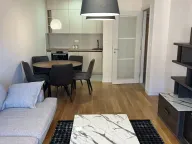 Izdavanje, jednosoban stan, 47m², Central Point, Podgorica - image 3