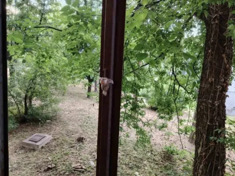 Prodaja, jednosoban stan, 38m², Brace Jerković, Voždovac Sve Podlokacije - image 12