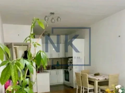 Izdavanje, jednosoban stan, 48m², Stari Aerodrom, Podgorica - image 4