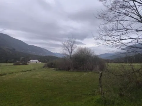 Sale, land lot, 4000m², Kujava, Danilovgrad - image 4