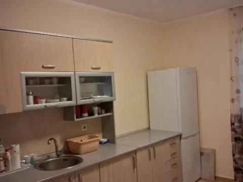 Izdavanje, dvosoban stan, 52m², Karaburma, Palilula Sve Podlokacije - image 3