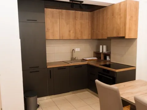 Izdavanje, jednosoban stan, 50m², Ljubović, Podgorica - image 2