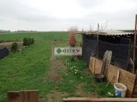 Sale, house, 180m², Beška, Inđija - image 7