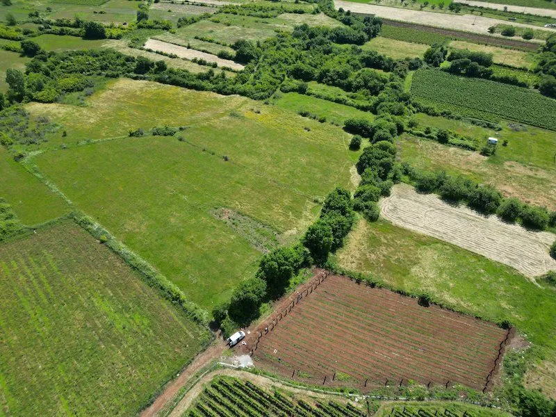 Prodaja, plac, 4422m², Beri, Podgorica