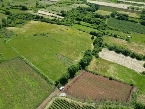 Prodaja, plac, 4422m², Beri, Podgorica - image 4