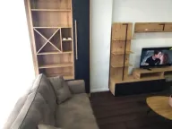 Izdavanje, jednosoban stan, 46m², Preko Morače, Podgorica - image 3