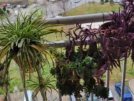 Prodaja, dvosoban stan, 75m², City Kvart, Podgorica - image 1