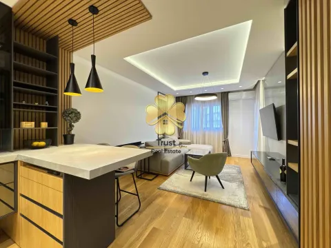 Izdavanje, jednosoban stan, 50m², Central Point, Podgorica - image 4