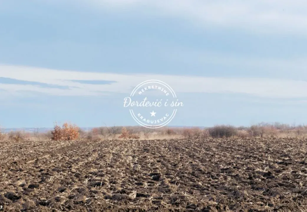 Prodaja, plac, 15200m², Lužnice, Kragujevac