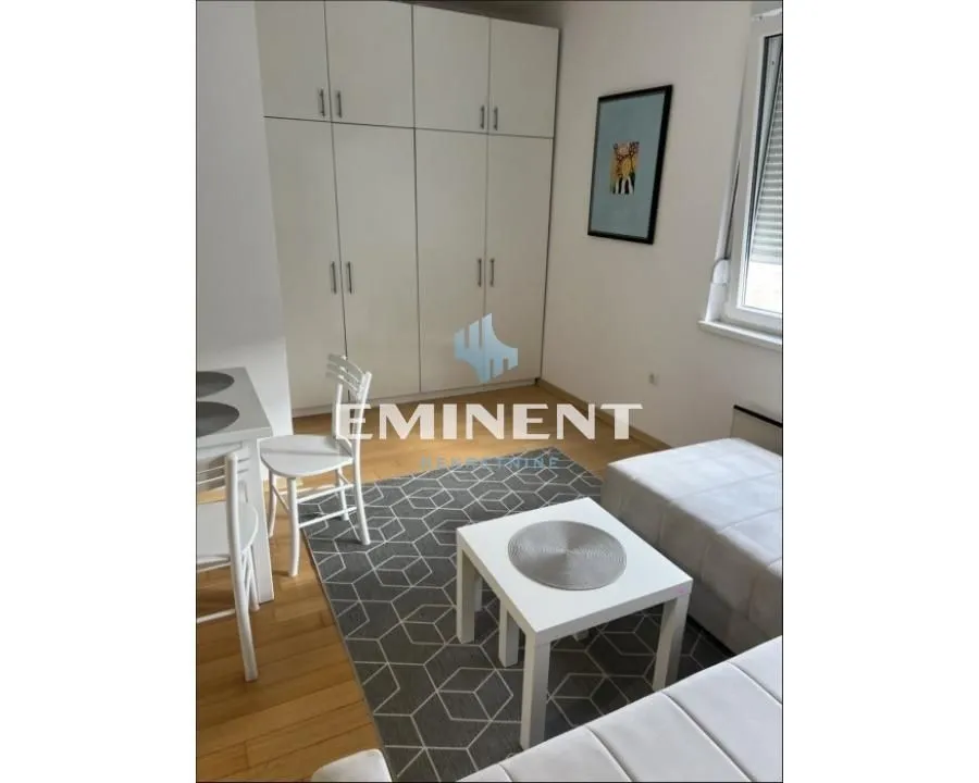Rent, one bedroom apartment, 24m², Savski Venac, Beograd