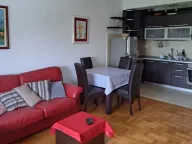 Izdavanje, jednosoban stan, 46m², Preko Morače, Podgorica - image 3