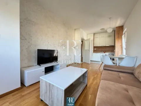 Izdavanje, dvosoban stan, 60m², Stari Aerodrom, Podgorica - image 4