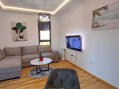 Izdavanje, jednosoban stan, 47m², Ilino, Bar - image 3