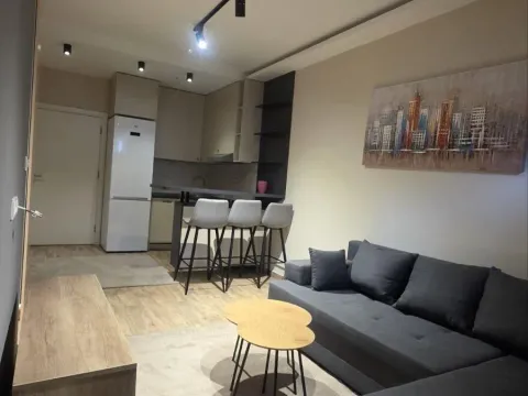 Sale, two bedroom apartment, 38m², Đeram Pijaca, Beograd - image 3