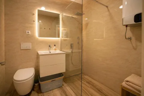Modern bathroom equipped with a walk-in shower and washbasin. - image 6