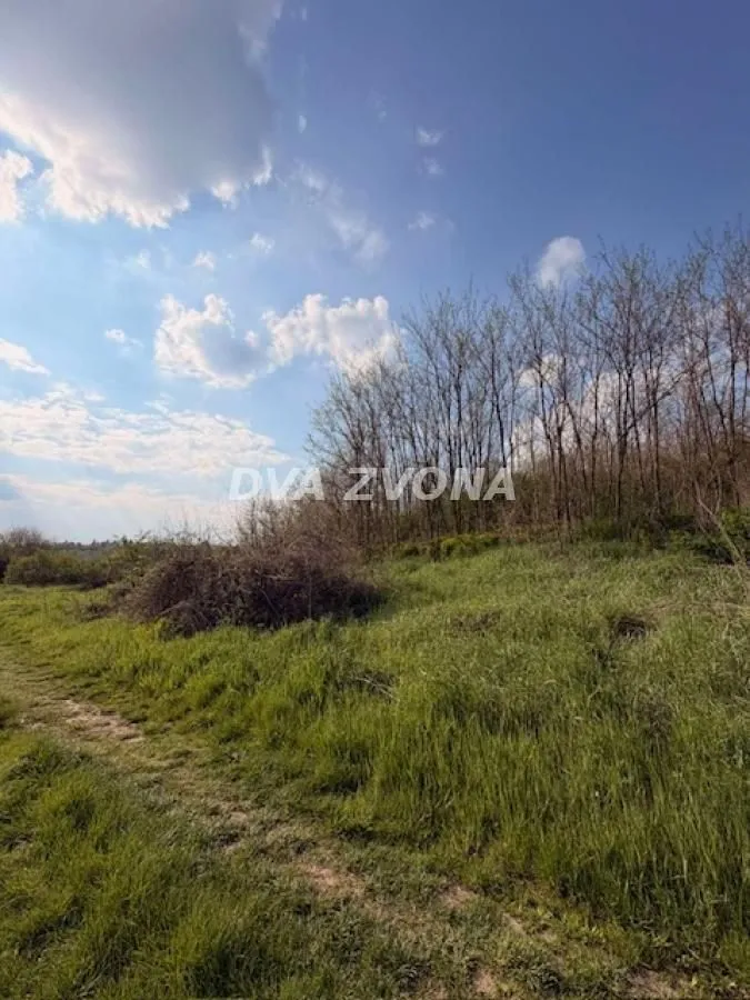 Prodaja, plac, 3500m², Čortanovci, Inđija