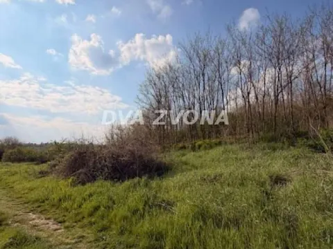 Prodaja, plac, 3500m², Čortanovci, Inđija - image 4